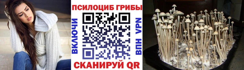 Псилоцибиновые грибы прущие грибы  Костерёво 